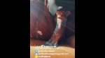 Playlist Thumb 5395561-1