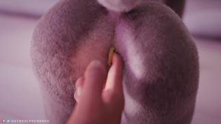 O vídeo original do Judy Hopps sendo excitado