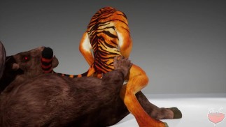 La tigre viene pestata dal Minotauro