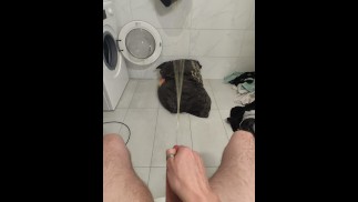 Voglio sborrare ma pisciare sul mio cuscino