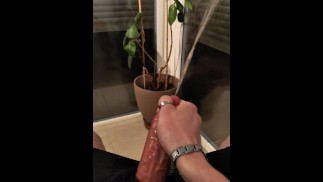 Piscio sulla mia pianta e dappertutto