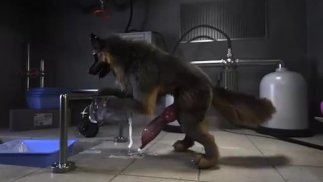 H0rs3 - 犬のマスターベーション