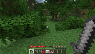 ASMR v Minecraftu