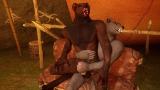 Due lupi condividono la leadership attraverso il sesso | Peloso | Fauna selvatica | Punto di vista | Allegro