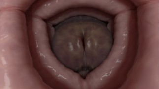 Double Trouble Giantess Edit (Futanari, POV, fleshlight insertion)