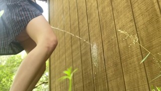 Los Park baños estaban cerrados, así que meé en su pared