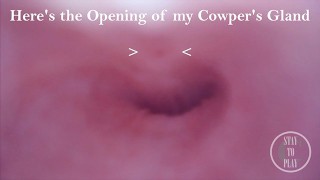 私のおしっこ穴を探索し、私が中出しする場所を見つける