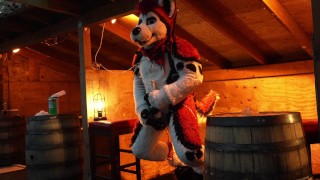 Husky Fursuits Sospensione Jerkoff