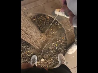 Faire Pipi Dans La Rue Avec Mon Ami Hétéro