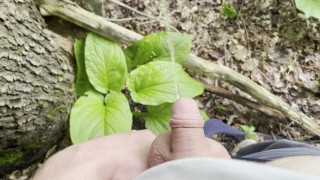 Niedlicher winziger Schwanz pisst in den Wald [Amateur HD POV]