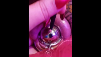 Chastity femboy poesje! Grote lul gemaakt in klein poesje en gepenetreerd met klinkende Rod.