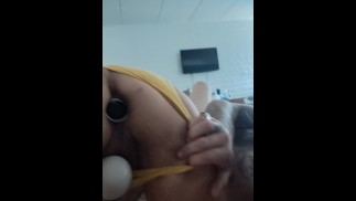 Předehra