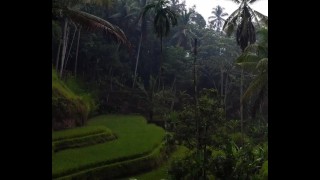 Relaxe depois de um bom sexo com vista tranquilizante da selva