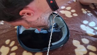 Mistress sprawia, że jej niewolnik zlizuje własną spermę z talerza