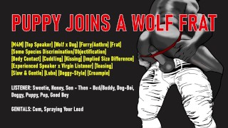 [Audio] Welpenjunge tritt einer Wolf Bruderschaft bei