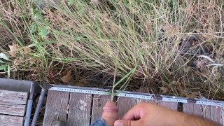Se perdre dans les bois et en éclater un gros sur le sentier