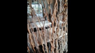 Primo appuntamento con uno sconosciuto in una spa pubblica, sono finita coperta di sperma