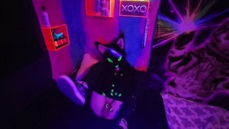 Alleycat лапает лапы новой игрушкой