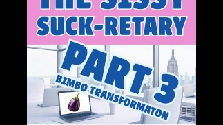 The Sissy Suckretary Часть 3 Fetish Erotic Audio Short Story Bisexual Encouragement X Dressing