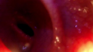 POV: Je in bed steken en dieper trekken