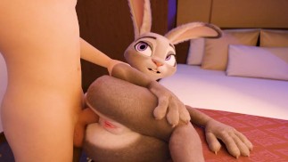 Judy Hopps Anal (Schleife)