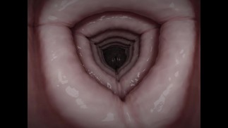 Shrunken inside giantess futa's sex toy VR POV