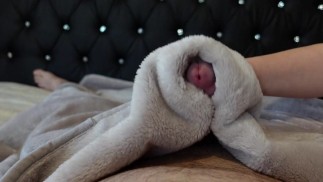 buongiorno, masturbazione con la coperta sfocata, sega con pelliccia