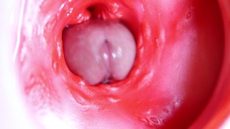 Un grosso cazzo rosso dentro un buco succoso può dare sperma in qualsiasi momento!