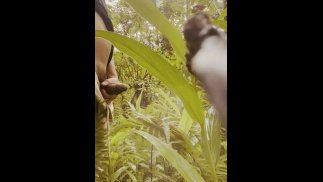 Boso kay pare sa Gubat Pinoy Dick