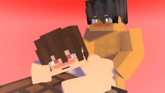 Minecraft Sex compilation video 2 - kostky jdou ano v tomto videu