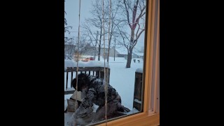 I DESTROYED my BRAND NEW Fursuit (Not Clickbait!)