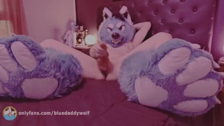 Wolf chlupatý tahy jeho uzel před vámi pro velký výbuch cum a ukazuje vám své velké tlapy