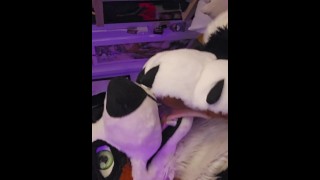 Hraní si s tlapkami a tlamou mého chlapce (18+) @LewdMindedLynx a @AngryBarks