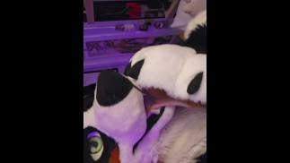 Hraní si s tlapkami a tlamou mého chlapce (18+) @LewdMindedLynx a @AngryBarks