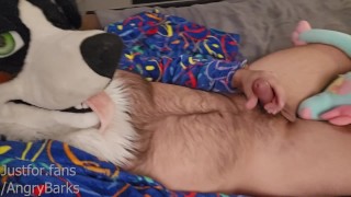 Furry eunuch jerks off until he cums 💦