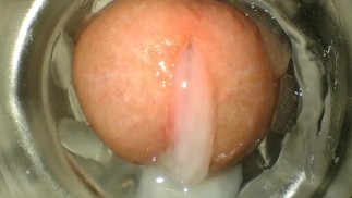 ASMR de cerca fleslight fuck y fuerte gemidos precum y corrida