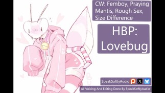 Lovebug will dein rauer Fick sein Toy M / A