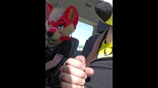 RISKANTNÍ HRA! @AsuFoXXX nemůže odolat @AngryBarks kosti na zadním sedadle UBERu!
