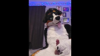 @AngryBarks chwali Edgesa i rujnuje swoje orgazmy z tobą 💦 #praisekink #ruinedo #pouringcum