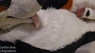 Zobacz, jak Paw Slut @AngryBarks twardnieje i pieprzy jego łapy, dopóki nie Cums na swoim Fuzzy Puppy Belly 🔥