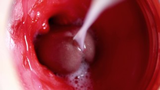 FOTOCAMERA ALL'INTERNO DELLA FIGA: POTENTE SPERMA NELLA FIGA! MIGLIOR ASMR interno in 4K PIÙ SPERMA