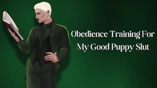 Gehorsamheitstraining für mein Gutes Puppy Slut