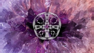 HvnterLIVE | Крошечный тизер