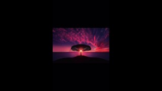 Cpp ios