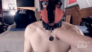Pup Jake muestra a su Maestro en Chaturbate lo mucho que le encanta chupar la polla