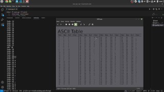 #14 Tipo di dati Char e tabella ASCII