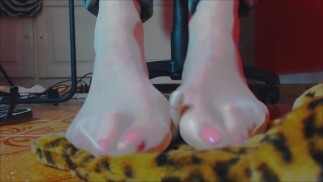 Calze di Nylon su un piccolo Pene