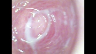 Fotocamera in profondità all'interno della figa bagnata e catturato l'intenso orgasmo femminile !!