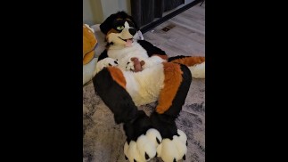 PAW FUCKER! @AngryBarks miluje šukání nohou, dokud tvrdě 💦 nevystříká Bark Bark!