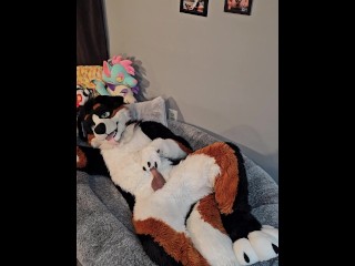 @AngryBarks Du Vétérinaire Vous Apprend à Traire Votre Petit Ami 👨 🔬💦 Chiot